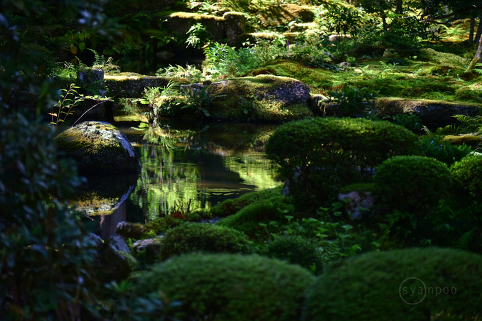 お写ん歩: 検索結果